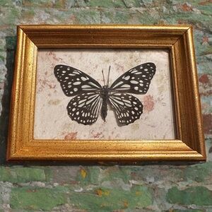 Genuine Butterfly Art on handmade flower imprinted paper in vintage frame.